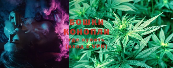 дживик Осташков
