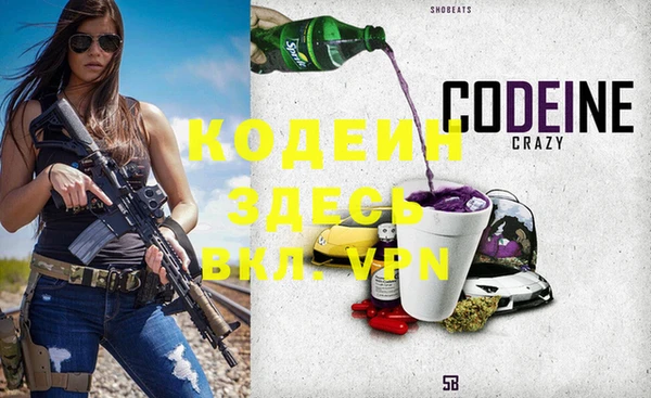 шишки Алзамай