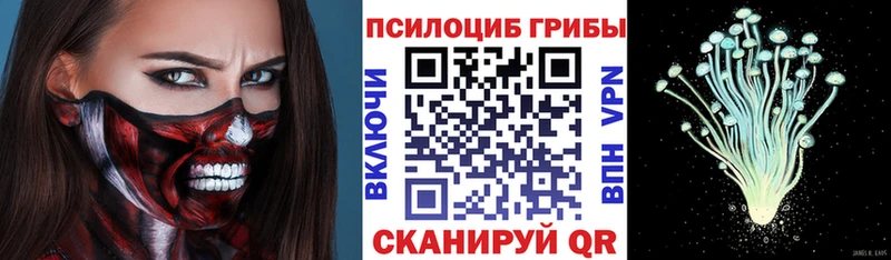 где можно купить   Кремёнки  Псилоцибиновые грибы мухоморы 